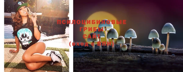 амфетамин Богданович