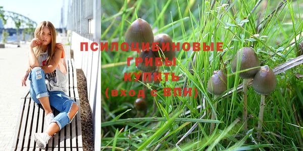 эйфоретик Белокуриха