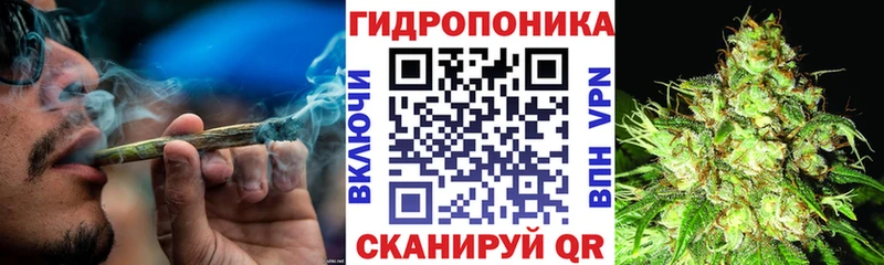 MEGA зеркало  магазин продажи наркотиков  Большой Камень  Каннабис семена 